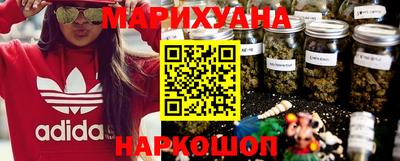 сатива Лесосибирск