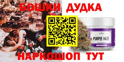 сатива Лесосибирск